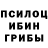Псилоцибиновые грибы GOLDEN TEACHER Josh Griffin