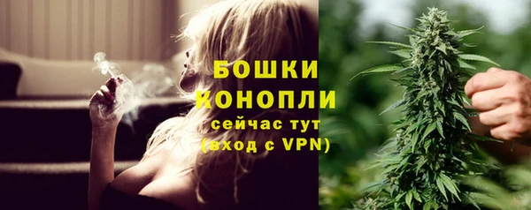 СК Новодвинск