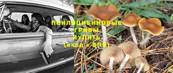 СК Новодвинск