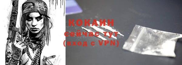 СК Новодвинск