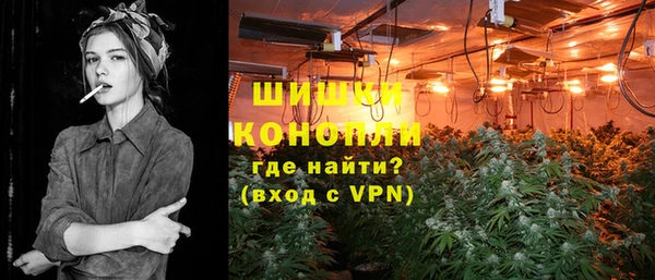 СК Новодвинск