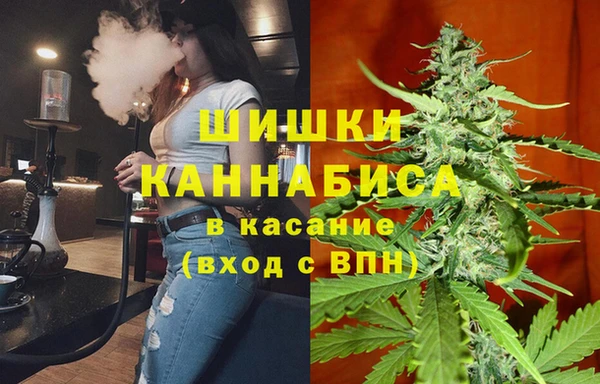 spice Новозыбков