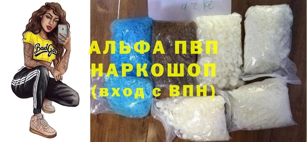 СК Новодвинск