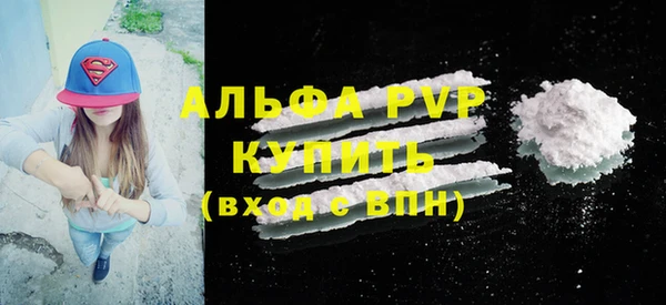 СК Новодвинск